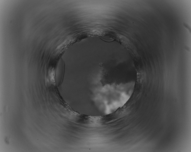 X0000100880143200807181308