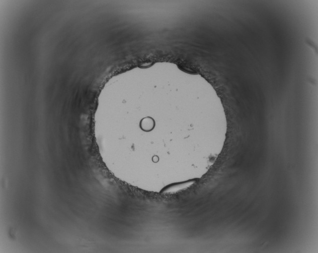 X0000100880144200807181308