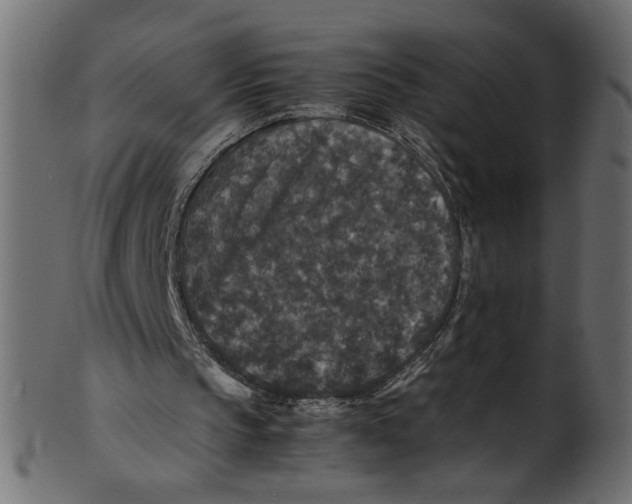 X0000100880145200807181307