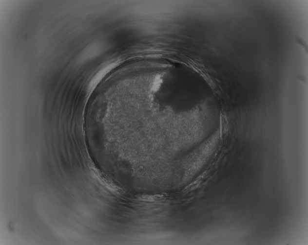 X0000100880147200807181307