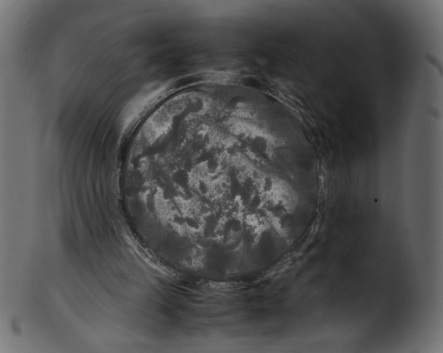 X0000100880149200807181307