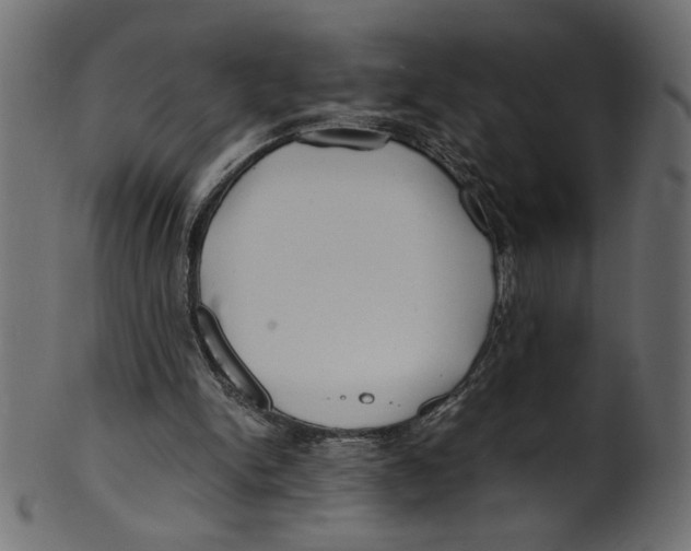 X0000100880150200807181307