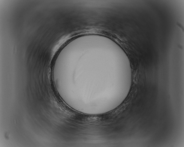 X0000100880152200807181307