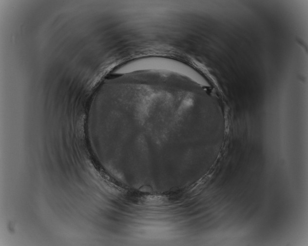 X0000100880154200807181307