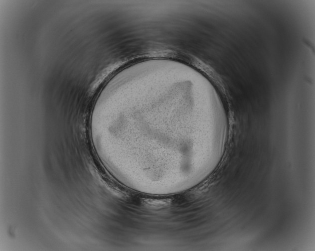 X0000100880155200807181307