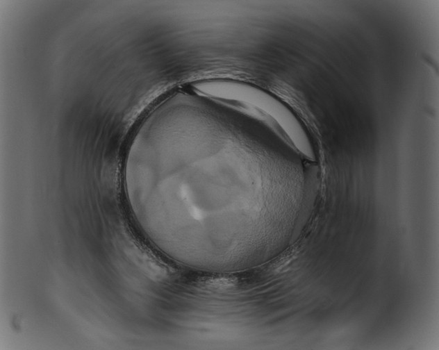 X0000100880156200807181307