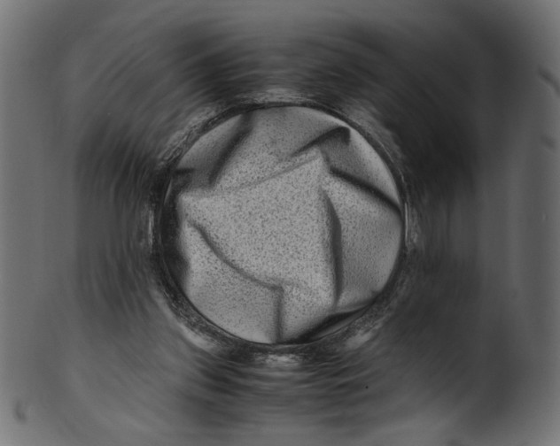 X0000100880157200807181307