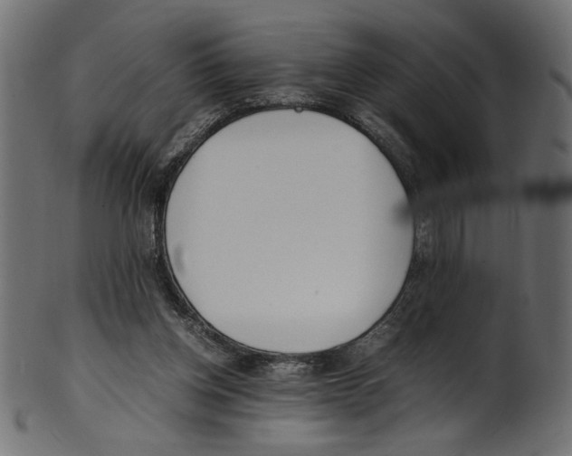 X0000100880158200807181307