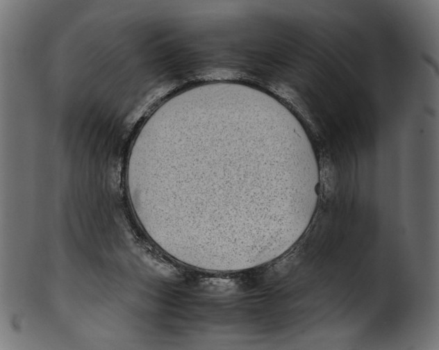 X0000100880159200807181307