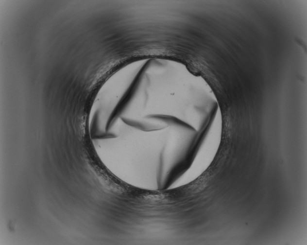 X0000100880160200807181307