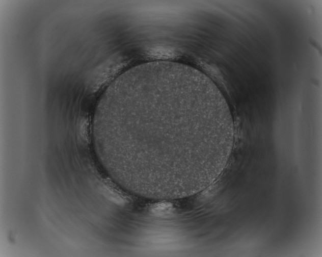 X0000100880162200807181307