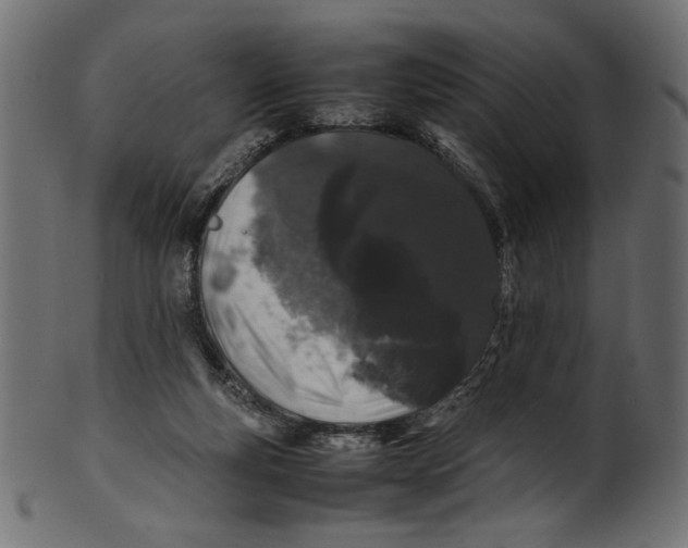 X0000100880163200807181307