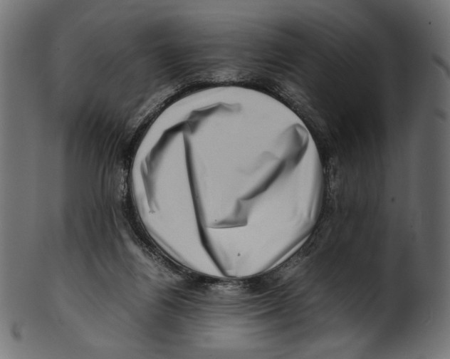 X0000100880164200807181307