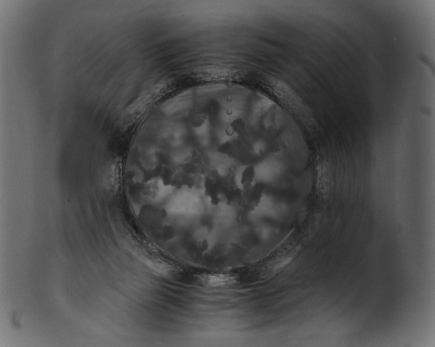 X0000100880165200807181307