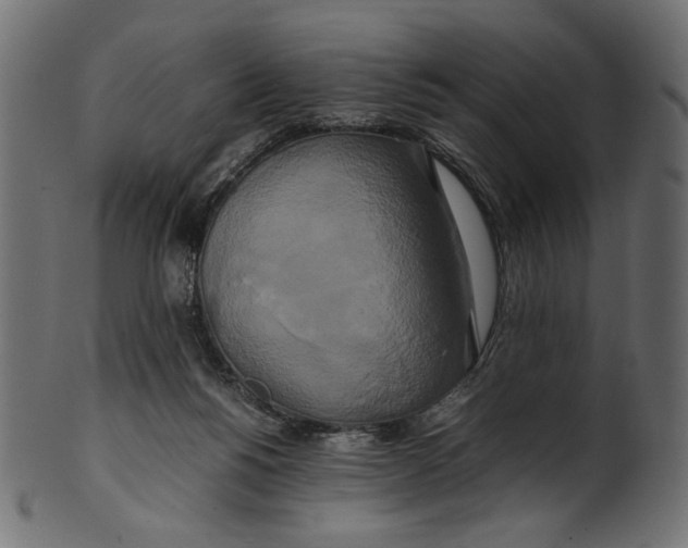 X0000100880168200807181307