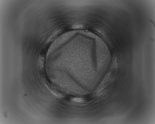 X0000100880171200807181307