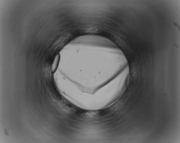 X0000100880172200807181307