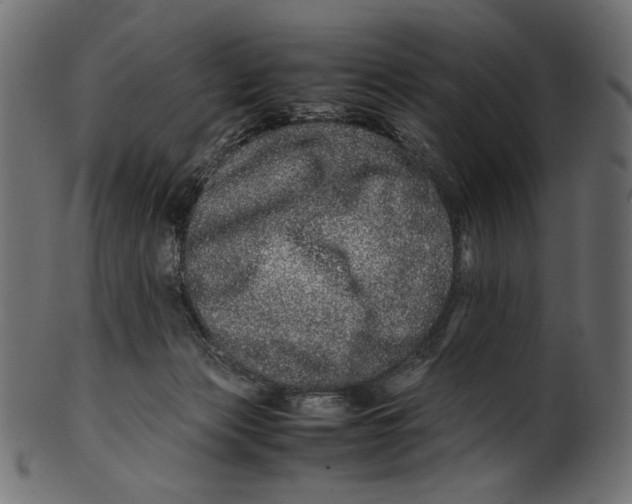 X0000100880173200807181307