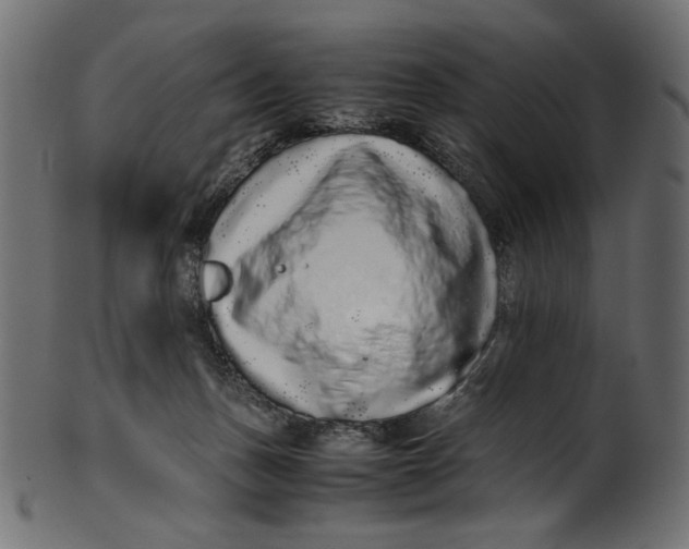 X0000100880175200807181307