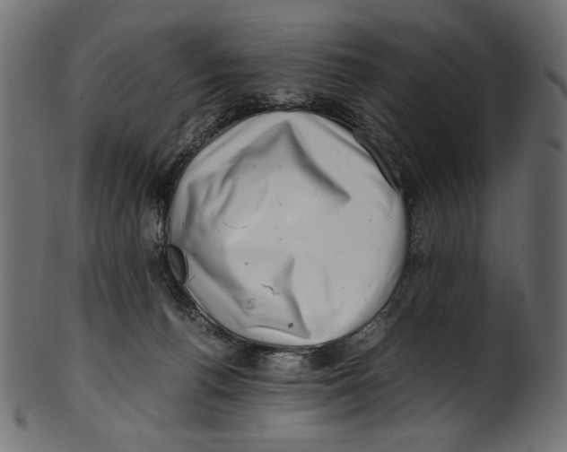 X0000100880176200807181307