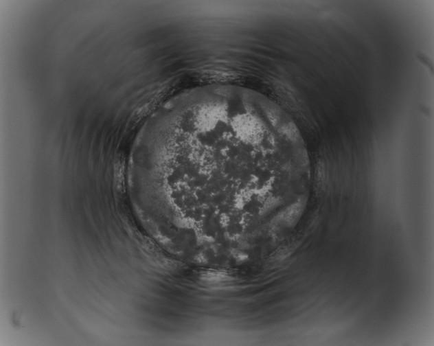 X0000100880177200807181307