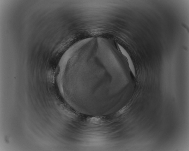 X0000100880180200807181307