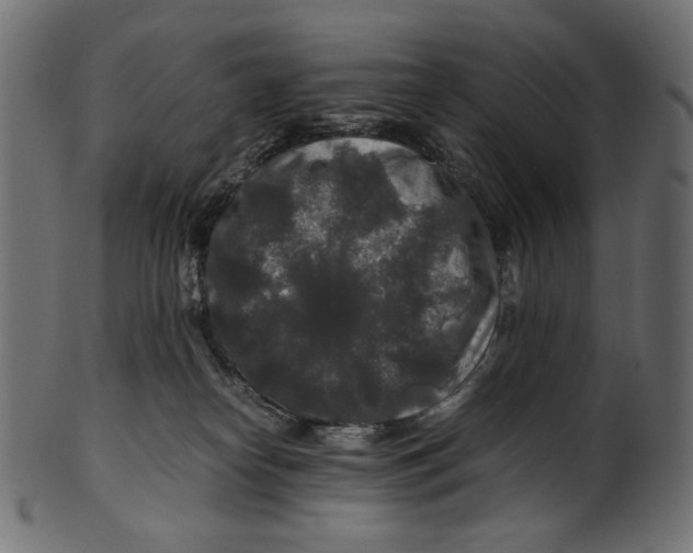 X0000100880182200807181307