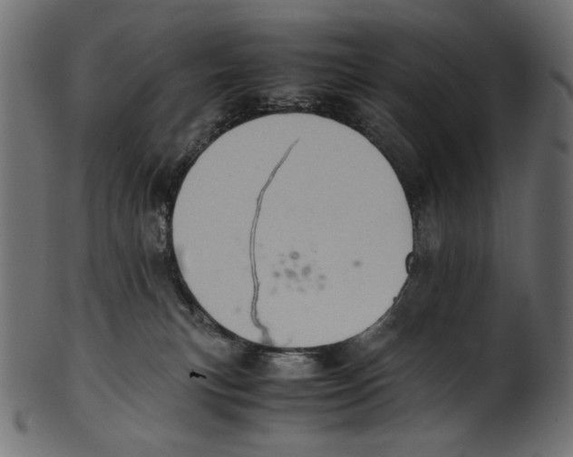 X0000100880183200807181307