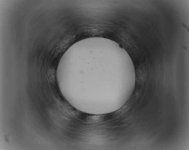 X0000100880184200807181307