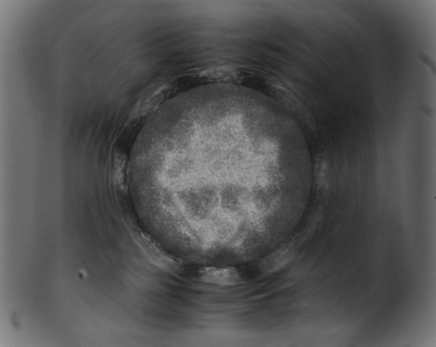 X0000100880185200807181307