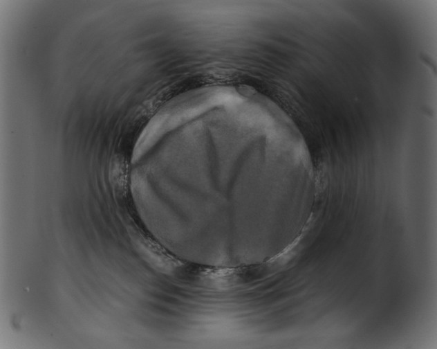 X0000100880186200807181307