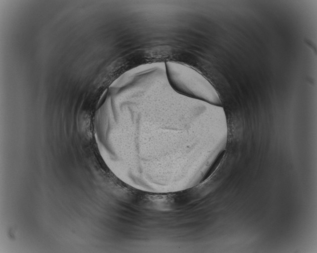 X0000100880187200807181308