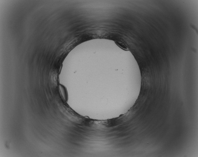 X0000100880188200807181308