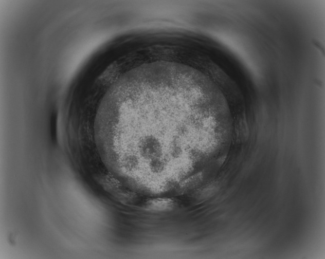 X0000100880189200807181308