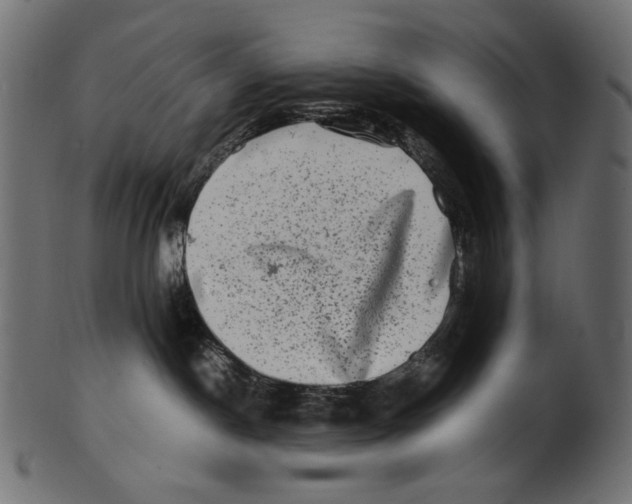 X0000100880190200807181308