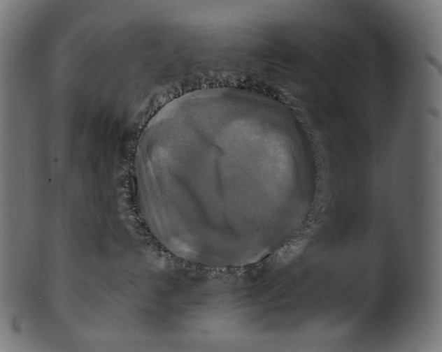 X0000100880192200807181308