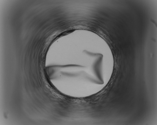 X0000100880193200807181307