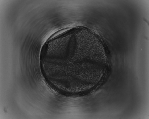 X0000100880196200807181307