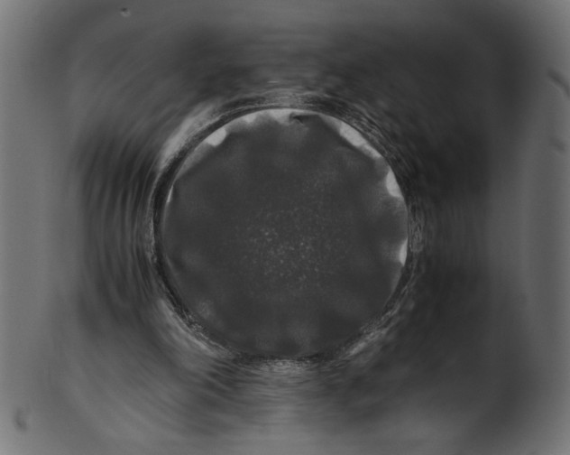 X0000100880198200807181307