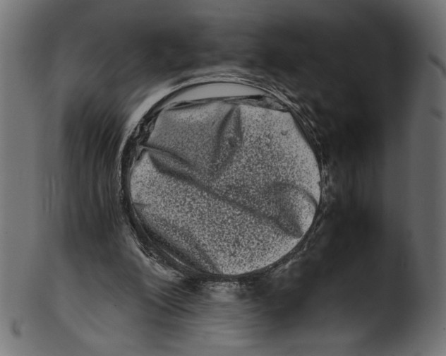 X0000100880200200807181307