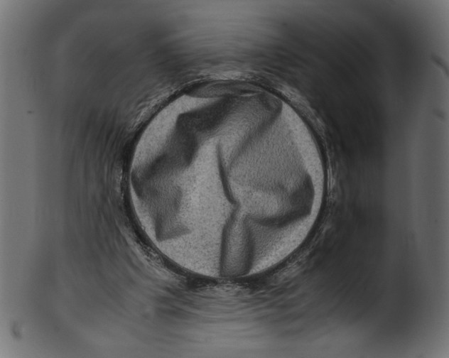 X0000100880201200807181307