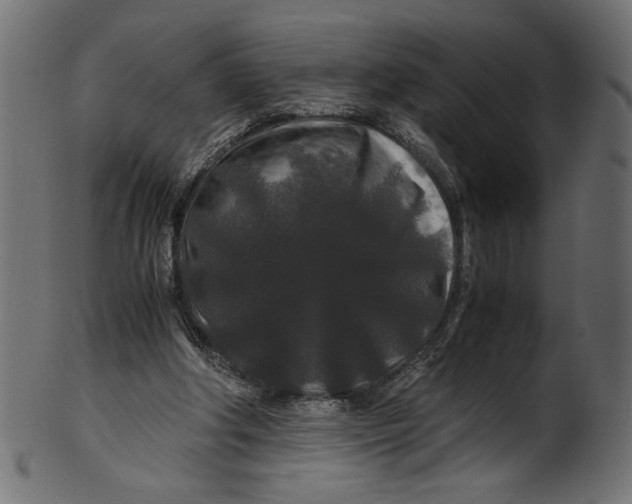 X0000100880202200807181307