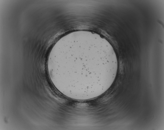 X0000100880203200807181307