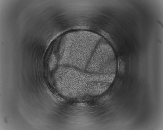 X0000100880204200807181307