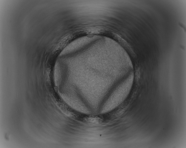 X0000100880209200807181307