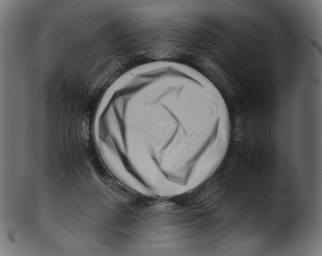 X0000100880210200807181307