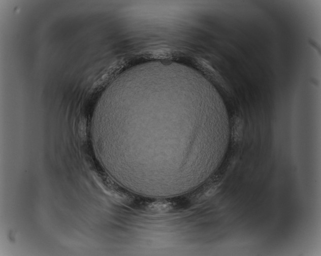 X0000100880213200807181307