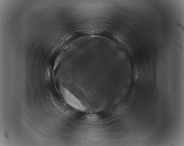 X0000100880214200807181307