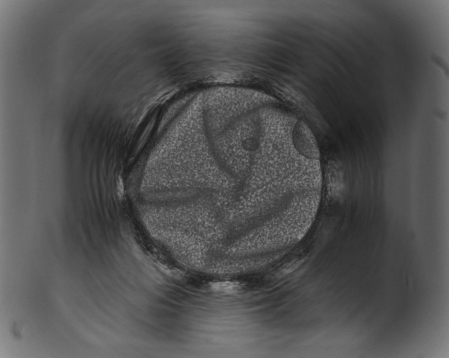 X0000100880216200807181307