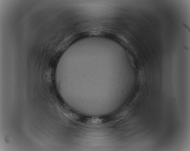 X0000100880217200807181307